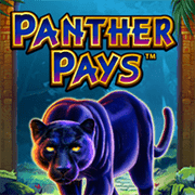 Báo Đen Phát Tài icon